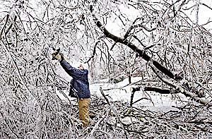 Steve Foutch cuts down a large tree that was blocking traffic through his neighborhood near the intersection of 37th Street and Madison Avenue in Midtown Kansas City. Foutch was among hundreds of thousands Kansas City-area residents left without power in this week's ice storm. He was doing his part to help others by cutting down trees  and keeping his friends' families warm with a wood-burning fireplace in his house.