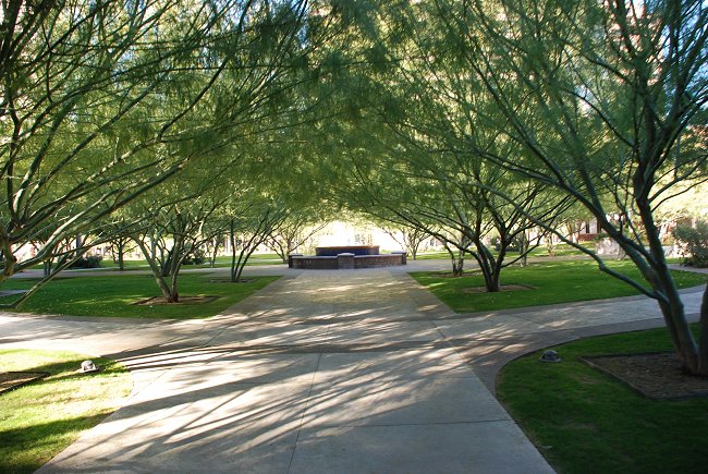 Phoenix, AZ, January 2009