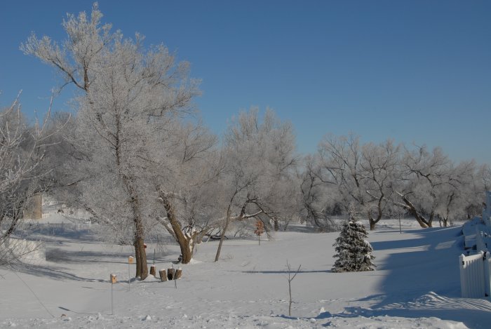 Photos Â© Ken Dewey, UNL, SNR.